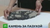 ФСБ нашла похищенный осколок челябинского метеорита у консультировавшего музей геолога выставки и музеи, кражи и ограбления, метеорит, Челябинская область.НТВ.Ru: новости, видео, программы телеканала НТВ