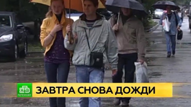 Солнечная погода в Северной столице сменится дождями и грозами.Санкт-Петербург, лето, погода.НТВ.Ru: новости, видео, программы телеканала НТВ