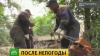 В Приморье восстанавливают поврежденную паводком инфраструктуру