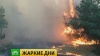 Десантники Авиалесоохраны устранили угрозу распространения лесных пожаров в Ростовской области