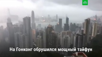 Удар «Хато»: мощный тайфун обрушился на Гонконг, парализовав жизнь в мегаполисе