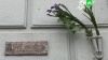 Власти Москвы назвали беззаконием установку мемориальной доски Немцову