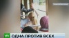 Пассажиры трамвая в Екатеринбурге чуть не избили школьницу из-за открытого окна