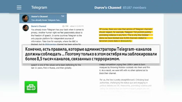 Telegram заблокировал 8, 5 тысяч каналов, связанных с терроризмом.Telegram, Интернет, ФСБ, терроризм, черные списки.НТВ.Ru: новости, видео, программы телеканала НТВ
