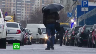 МЧС предупреждает москвичей о резком ухудшении погоды