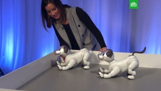 Sony представила <nobr>робота-щенка</nobr> с искусственным интеллектом