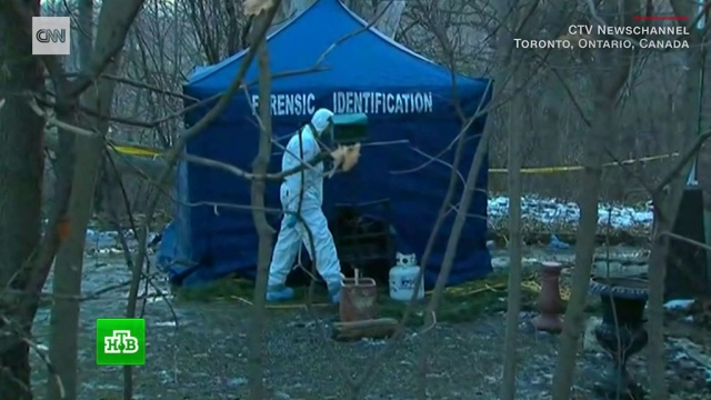 В Торонто поймали маньяка-садовника, прятавшего тела жертв в клумбах.аресты, жестокость, Канада, маньяки, расследование, убийства и покушения.НТВ.Ru: новости, видео, программы телеканала НТВ