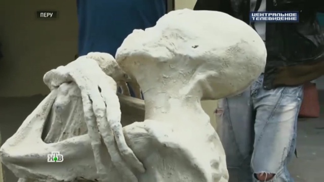 Загадочная Мария: трехпалая перуанская мумия заставила ученых поломать голову.Перу, Санкт-Петербург, история, наука и открытия.НТВ.Ru: новости, видео, программы телеканала НТВ