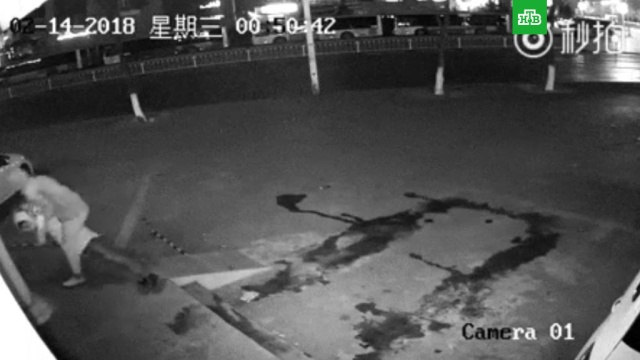 Китайская полиция опубликовала видео самого глупого ограбления в истории.Китай, кражи и ограбления, курьезы.НТВ.Ru: новости, видео, программы телеканала НТВ