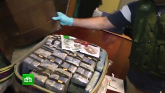 Спецслужбы РФ и Аргентины помешали отправить в Москву 389 кг кокаина