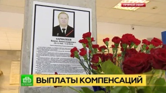 Семьям погибших в авиакатастрофе <nobr>Ан-148</nobr> петербуржцев выплатили по миллиону рублей