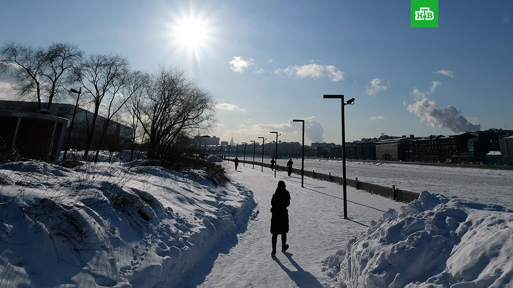 Проект холод москва