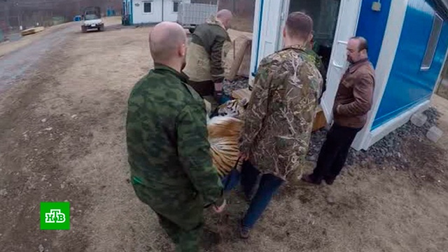         ., , , ..Ru: , ,   