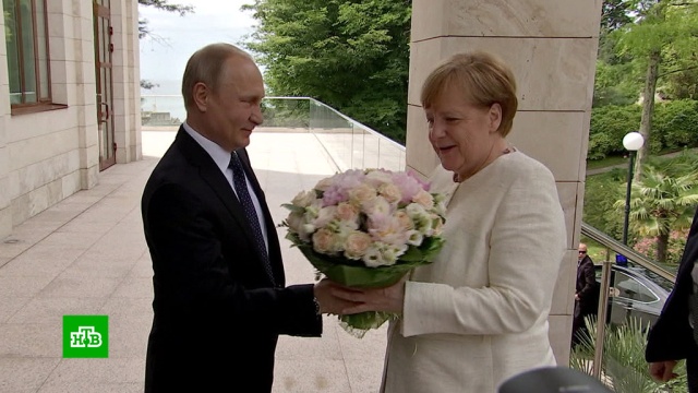 Путин и Меркель в Сочи побеседовали на русском языке.Медведев, Меркель, переговоры, Путин, Сочи.НТВ.Ru: новости, видео, программы телеканала НТВ