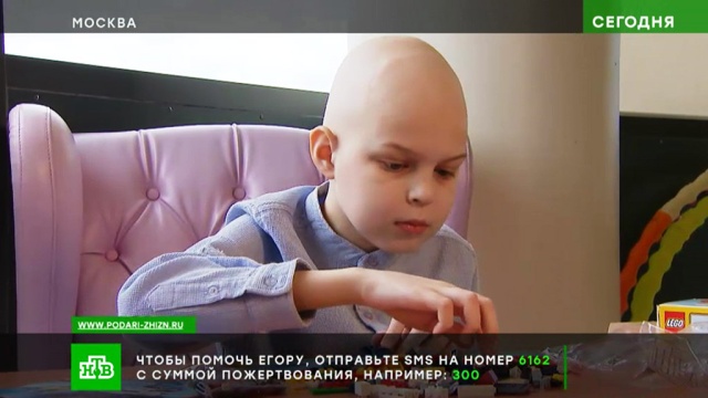 Десятилетнему Егору срочно нужны средства на курс лечения перед пересадкой костного мозга.SOS, благотворительность, дети и подростки.НТВ.Ru: новости, видео, программы телеканала НТВ