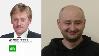 Песков назвал ситуацию вокруг «убийства» Бабченко «развесистой клюквой»