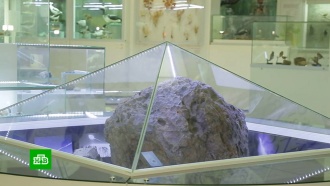 Запутанное дело о краже фрагмента челябинского метеорита начали рассматривать в суде