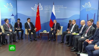 Путин ожидает роста товарооборота с Китаем до 100 млрд долларов