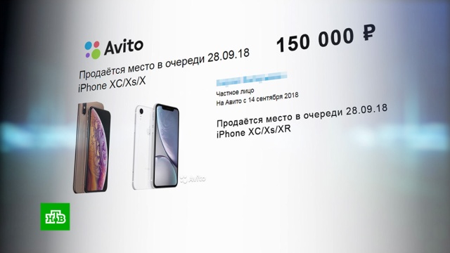 Место в очереди за новым iPhone продают за 250 тысяч рублей.Apple, iPhone, Интернет, гаджеты, технологии, торговля.НТВ.Ru: новости, видео, программы телеканала НТВ