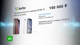 Место в очереди за новым iPhone продают за 250 тысяч рублей