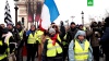 Полиция применила слезоточивый газ для разгона «желтых жилетов» в Париже