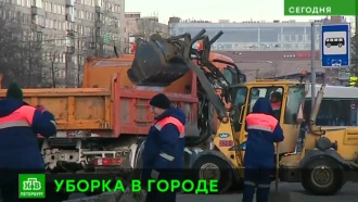 Горы снега и вмерзший мусор: названы главные проблемы зимней уборки в Петербурге