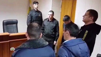 Александра Емельяненко арестовали на 10 суток