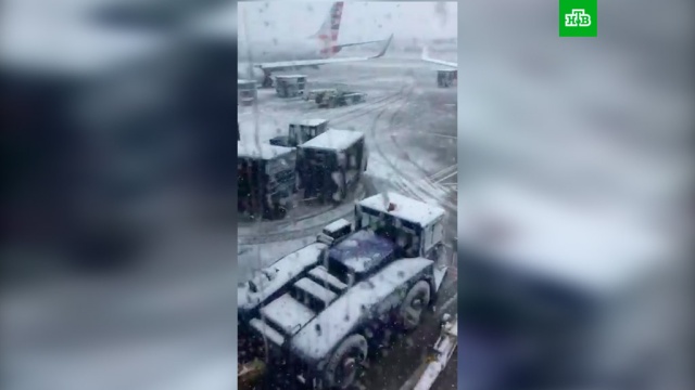 В Чикаго отменили более 600 рейсов из-за снежной бури.США, аэропорты, погода, снег.НТВ.Ru: новости, видео, программы телеканала НТВ