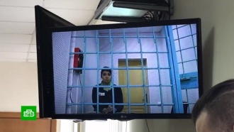 Экс-студентку МГУ Варвару Караулову освободили досрочно