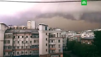В Москве выпала четверть месячной нормы осадков