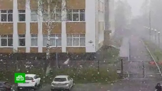 Неласковый май: в Томске выпал мокрый снег