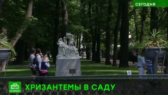 В честь юбилея Летний сад Петербурга украсят цветами и музыкой