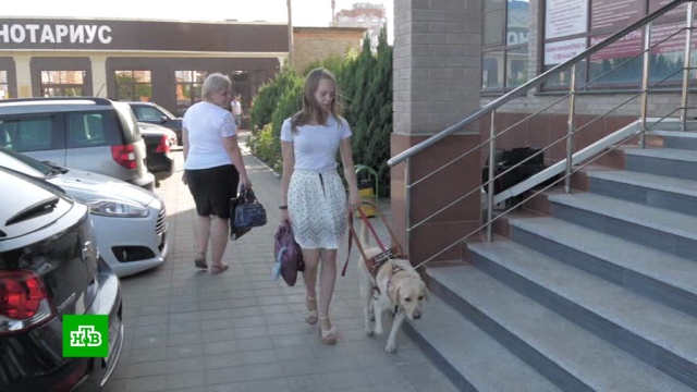 Девушка-инвалид в суде отстаивает право работать с собакой-поводырем.инвалиды, Краснодар, слепые, собаки, суды, скандалы.НТВ.Ru: новости, видео, программы телеканала НТВ