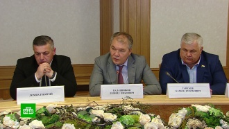 Грузинских депутатов тепло встретили в Госдуме