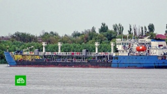 В Совфеде назвали пиратством задержание российского танкера на Украине