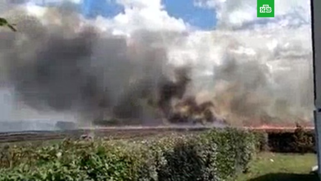 На юге Франции сгорело более 200 гектаров леса.лесные пожары, Франция.НТВ.Ru: новости, видео, программы телеканала НТВ