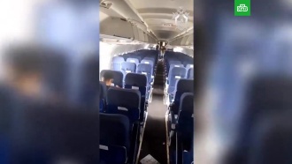 Видео из салона A321, совершившего аварийную посадку в Подмосковье