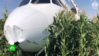 МАК обследовал черные ящики севшего в кукурузном поле A321
