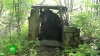 Брошенную в лесу кабину грузовика обживают медведи, бурундук и ворона: видео
