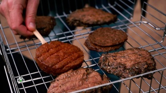 Пищевая революция: из чего сделано искусственное мясо