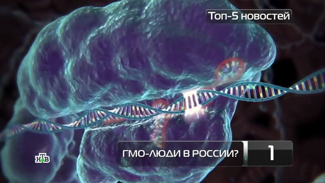 В России могут появиться ГМО-люди.генетика, здоровье, медицина, наука и открытия.НТВ.Ru: новости, видео, программы телеканала НТВ
