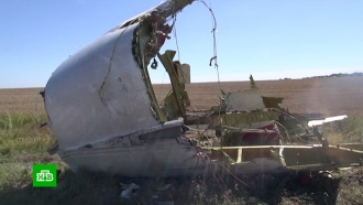 Нидерланды намерены изучить роль Украины в крушении MH17