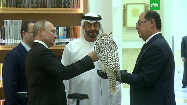 Путин подарил кречета принцу Абу-Даби.ОАЭ, Путин, подарки, птицы, монархи и августейшие особы.НТВ.Ru: новости, видео, программы телеканала НТВ