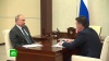 Воробьёв рассказал Путину о росте населения Подмосковья и проблемах дольщиков