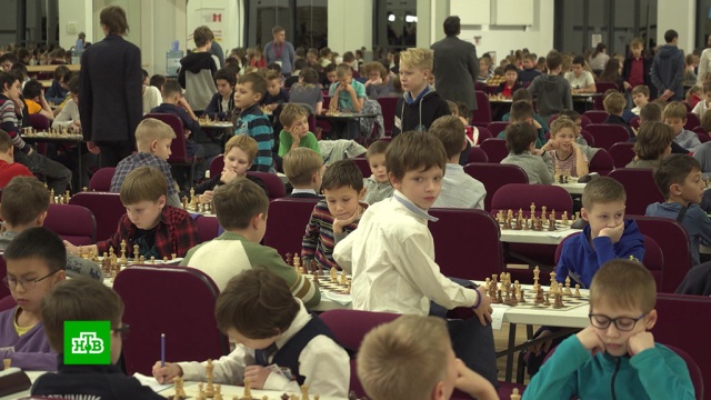 Кризис позади: Россия переживает всплеск интереса к шахматам.дети и подростки, спорт, шахматы.НТВ.Ru: новости, видео, программы телеканала НТВ