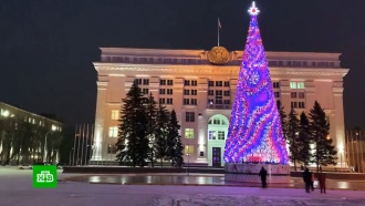 Глава Кемерова объяснил покупку елки за 18 млн рублей