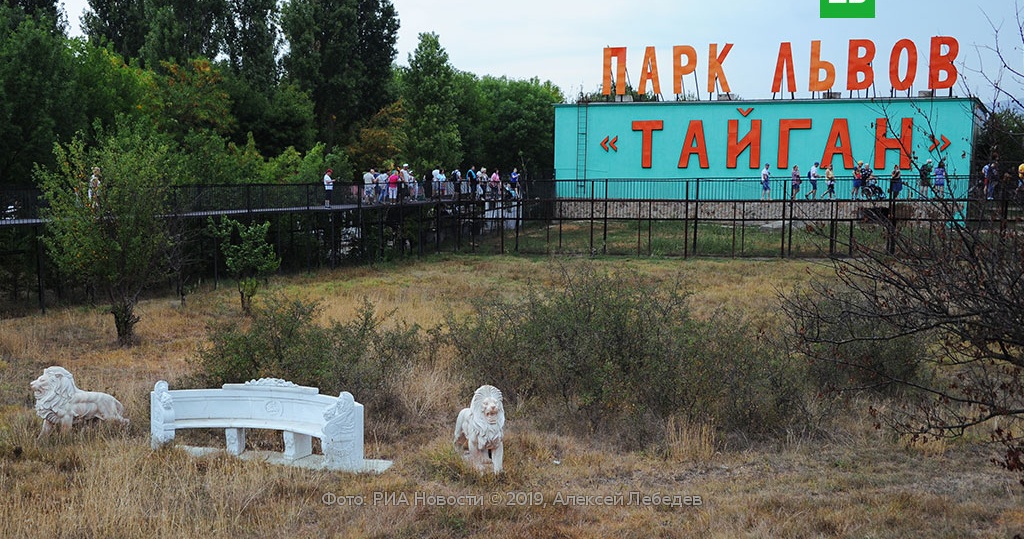 Тигр откусил палец тайган. Трагедия в парке тайган сегодня. Трагедия в парке тайган сегодня. Трагедия в парке тайган сегодня. Хозяин парка тайган в крыму.