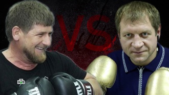 Бой века: кто победит — Кадыров или Емельяненко? 
