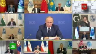 Путин рассказал о совместных мерах стран ШОС в борьбе с <nobr>COVID-19</nobr>