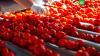 Россельхознадзор запретил импорт яблок и томатов из Азербайджана